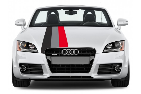 Aufkleber passend für Audi Motorsport Rally streifen Aufkleber 45cm x 125cm