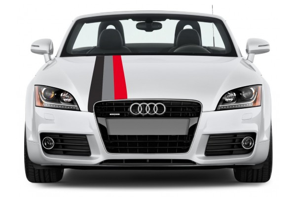 Aufkleber passend für Audi Motorsport Rally streifen Aufkleber 30cm x 125cm