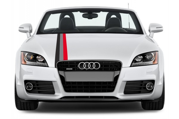 Aufkleber passend für Audi Motorsport Rally streifen Aufkleber 15cm x 125cm