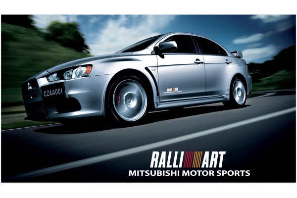 Decal to fit Mitsubishi Lancer Evolution Rally Art side decal 400mm