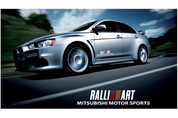 Decal to fit Mitsubishi Lancer Evolution Rally Art side decal 500mm 2pcs. kit