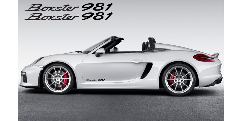 Decal to fit Porsche Boxster 918 Decal Set 2Pcs, 350mm