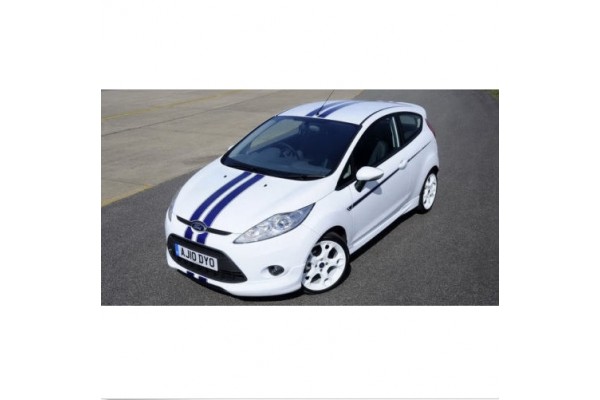 Decal to fit Ford Fiesta racing stripe Racing Stripes decal set S1600 Limited Edition