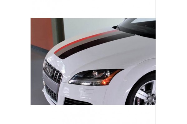 Decal to fit Audi Rally stripe decal Performance Power 30cm x 125cm