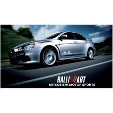 Decal to fit Mitsubishi Lancer Evolution Rally Art side decal 500mm 2pcs. kit