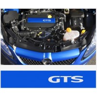 Decal to fit Opel GTS valve cover decal Vectra Corsa Astra Zafira A B C D E F G H