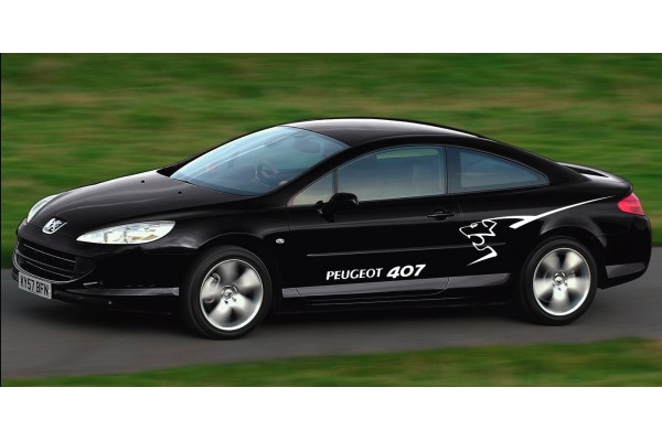 Aufkleber passend für Peugeot 407 Seitenaufkleber Aufkleber 2 Stk. Satz 150cm