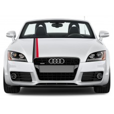Decal to fit Audi Motorsport Rally Stripe decal 10cm x 125cm
