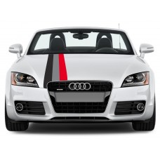 Aufkleber passend für Audi Motorsport Rally streifen Aufkleber 30cm x 125cm