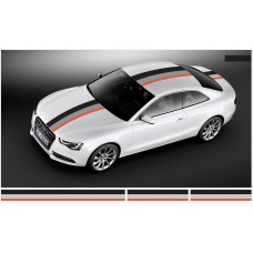 Decal to fit Audi Motorsport Rally Stripe decal 30cm x 500cm (2pcs. 30cm x 130cm, 1pcs. 30cm x 240cm)