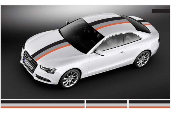 Decal to fit Audi Motorsport Rally Stripe decal 30cm x 500cm (2pcs. 30cm x 130cm, 1pcs. 30cm x 240cm)